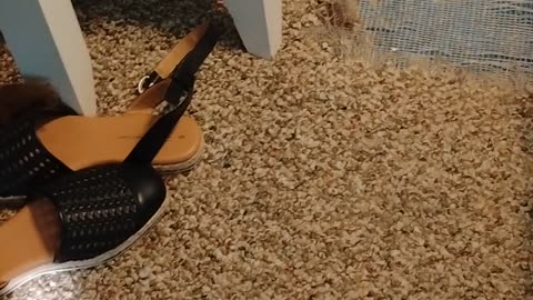 7 year tribulation is about to start!! Jesus is coming now