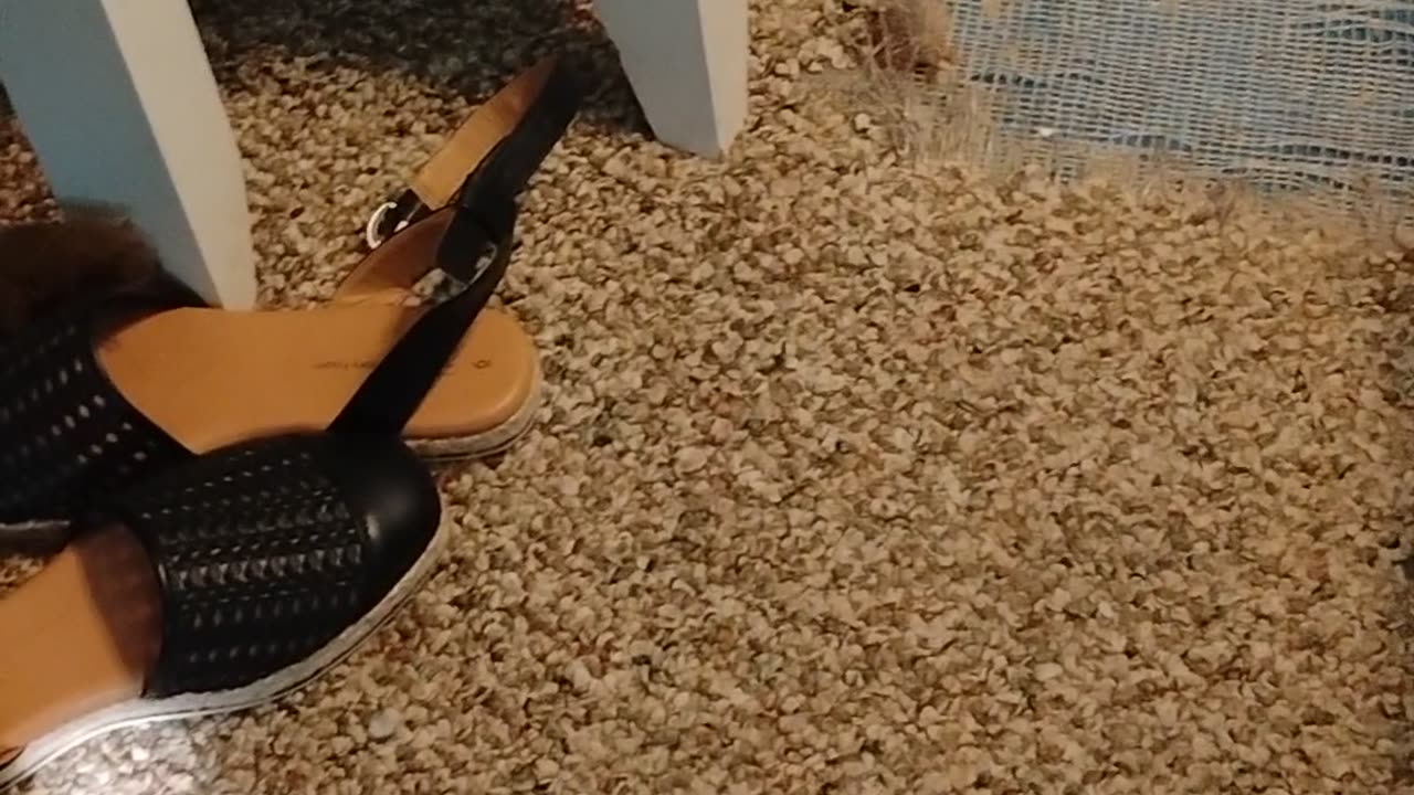 7 year tribulation is about to start!! Jesus is coming now