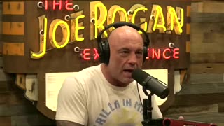 All Gas, No Brakes Fighter - Michael Venom Page with Joe Rogan