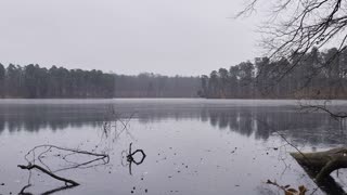 Quiet Lake in Autumn Stillness | 3H of Cold, Calm Ambience for Deep Focus