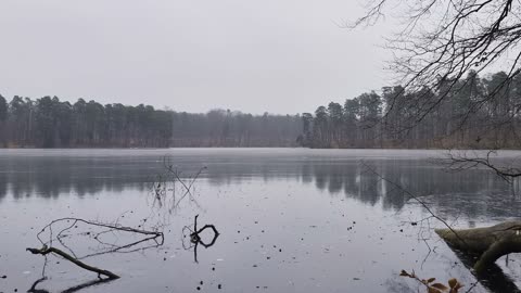 Quiet Lake in Autumn Stillness | 3H of Cold, Calm Ambience for Deep Focus