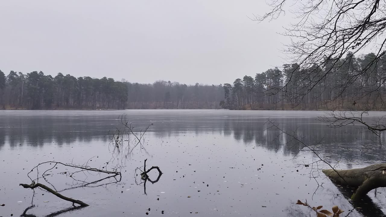Quiet Lake in Autumn Stillness | 3H of Cold, Calm Ambience for Deep Focus