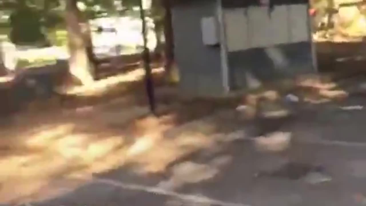 Hood Rats Being Generally Obnoxious and Turning to Fight