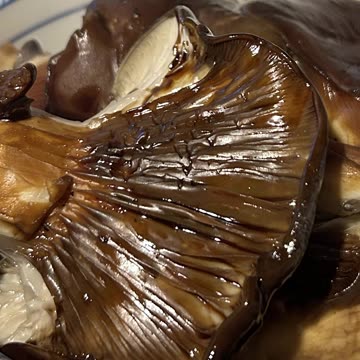 Fried Fresh Oyster Mushrooms