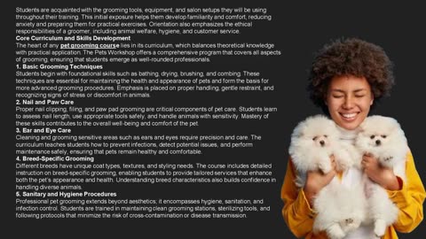 Becoming a Certified Pet Groomer: A Student’s Journey at The Pets Workshop-The Pets Workshop