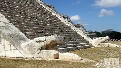 What You Need To Know About The REPTILIAN ALIEN RACE