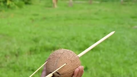 Coconut Slingshot Idea