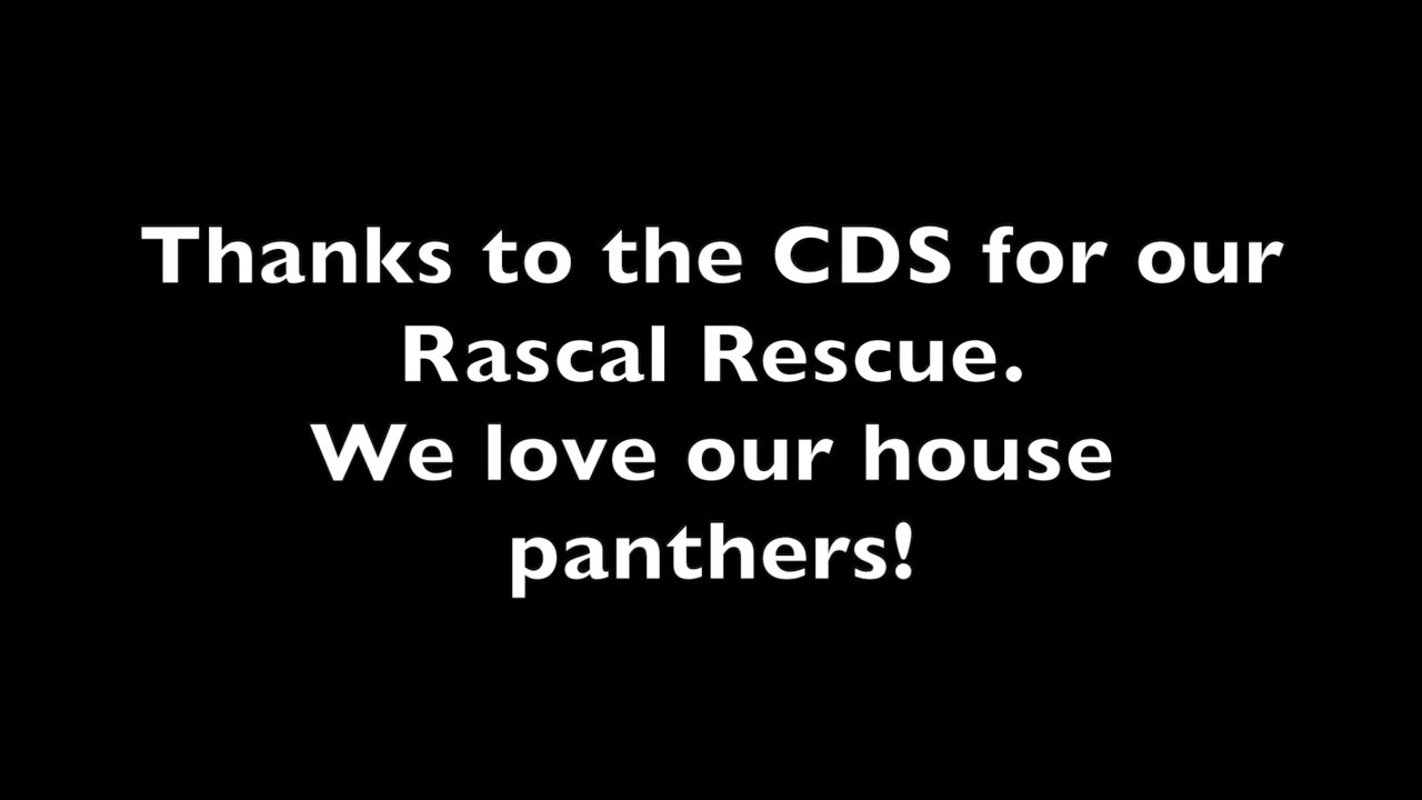 Cat Distribution System : Rascal Rescue