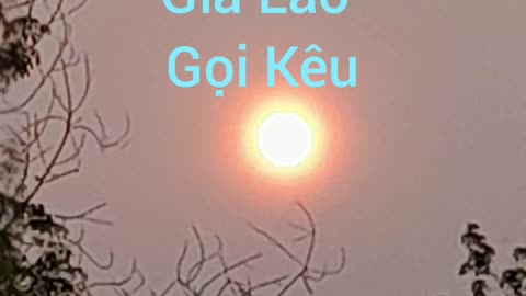 già lão gọi kêu ( hội long hoa )