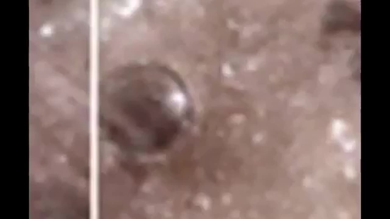 Allegedly Leaked Insider Recording About Aliens, Moon Landing, UFOs