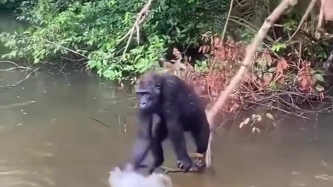 Funny tries to scare them away