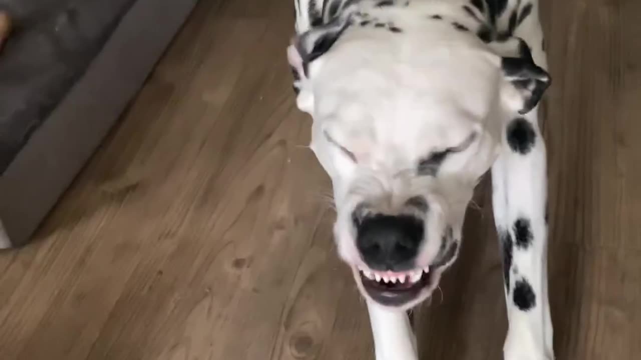 ๐๐ฆนโโ It's Time for Some Hilarious Shenanigans! | FunFM