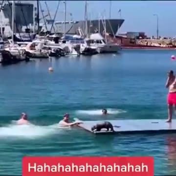 Who's Afraid of an Otter?