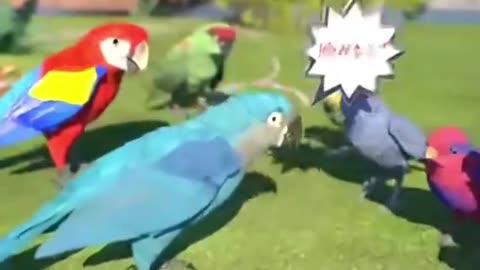 Teaching wild parrots to say the n-word