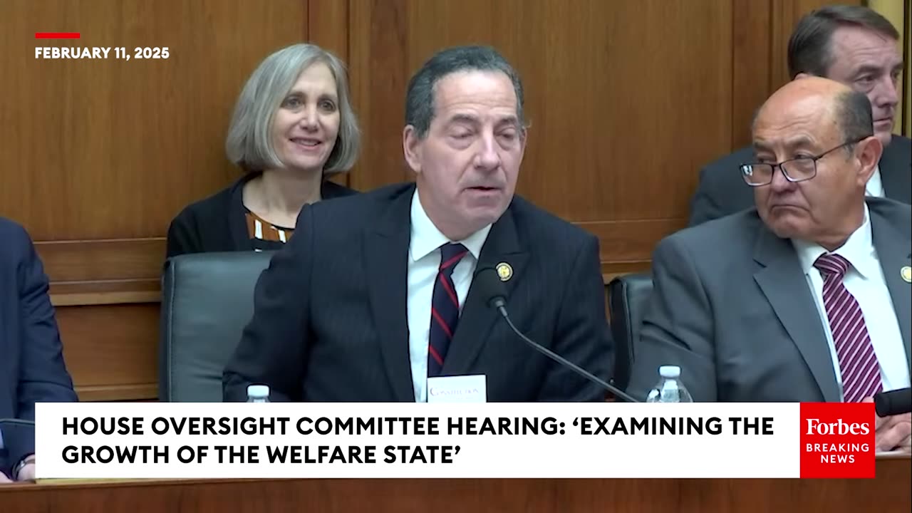 😂 LOL! Congressional Witness SHREDS Jamie Raskin for His Attacks on Elon Musk!