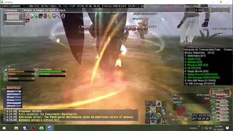 Playing Final Fantasy XI Online
