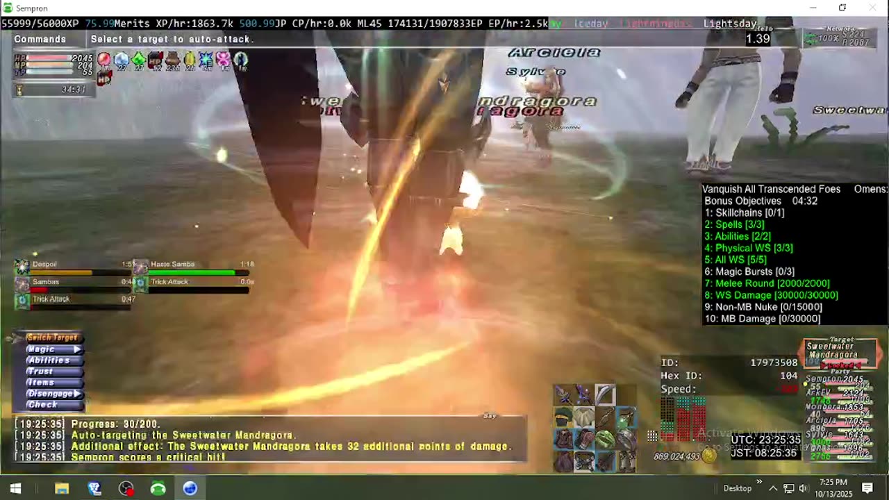 Playing Final Fantasy XI Online