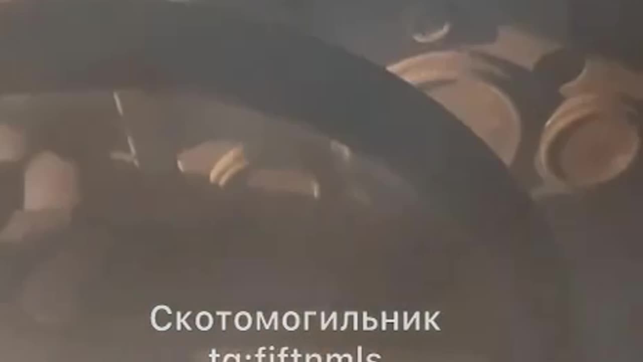 The Foreign Legion's suckers are hunting for FPVs in the Zaporizhzhia region