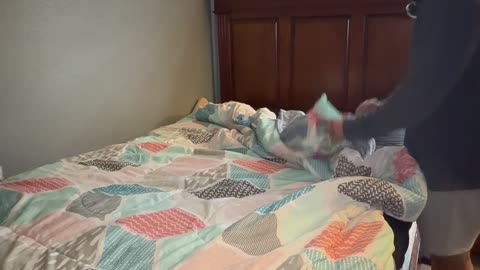 Making My Bed Every Day (Day 31) - Posting Content Daily Sucks