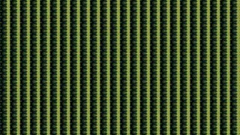 Hindu (A Walk Along the Shore Part II)