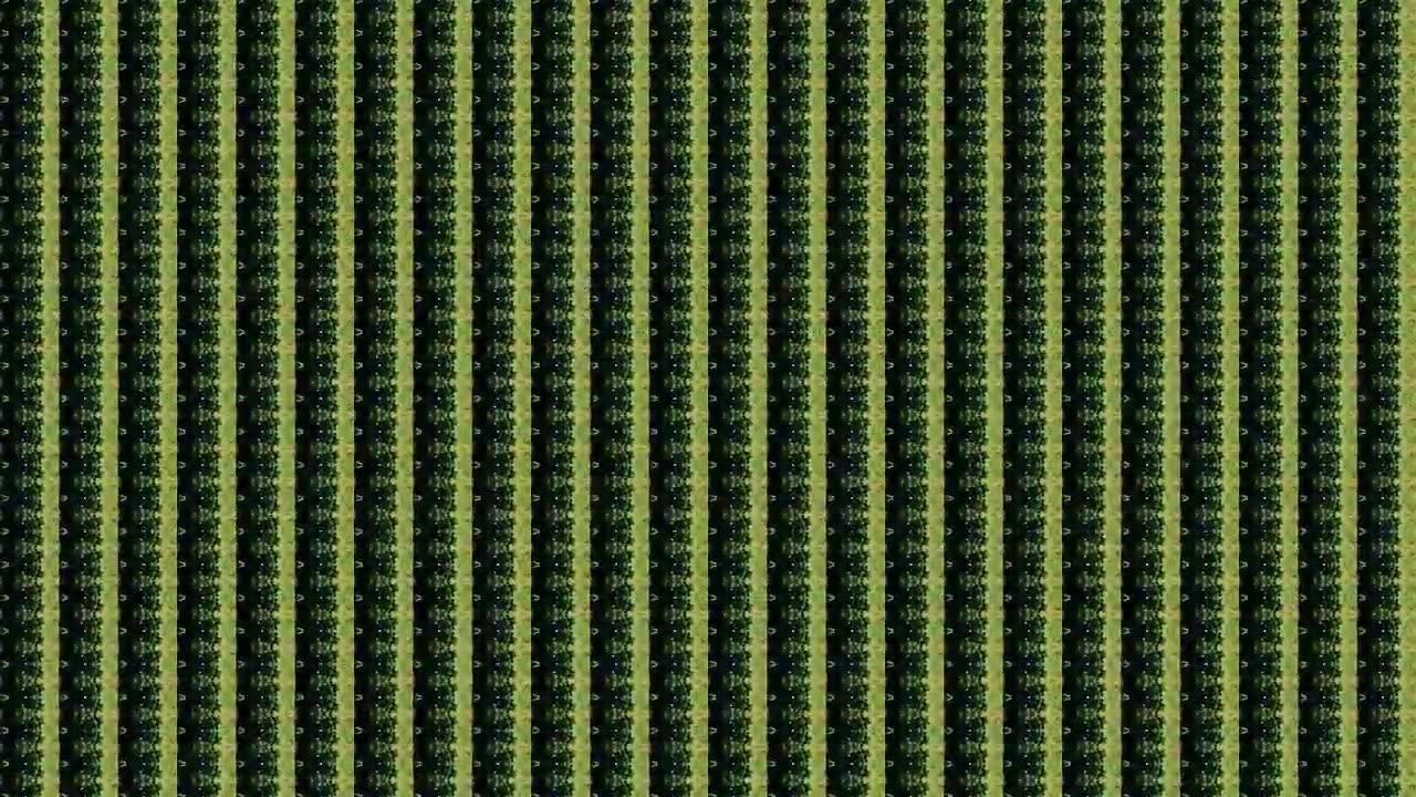 Hindu (A Walk Along the Shore Part II)