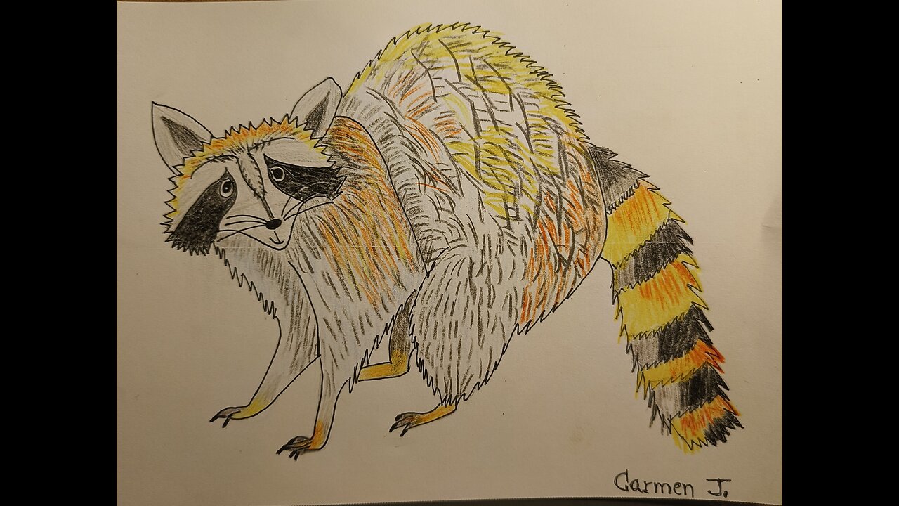 RACCOON - VASKEBJØRN - MAPACHE