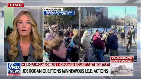 DHS Assistant Sec Responds To Joe Rogan Calling ICE Gestapo