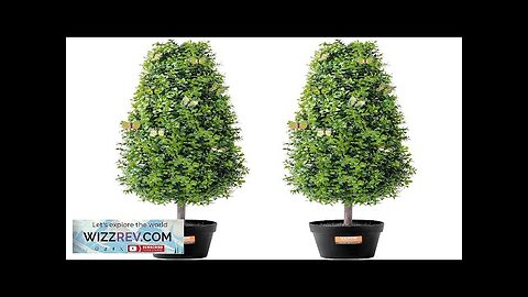 VEVOR 2 Pack 3' Artificial Boxwood Topiary Tree Faux Plant UV Decor Review