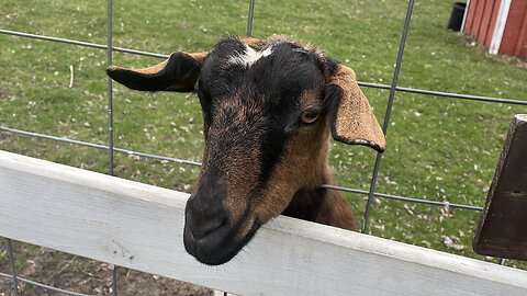 What Are You Hungry For?