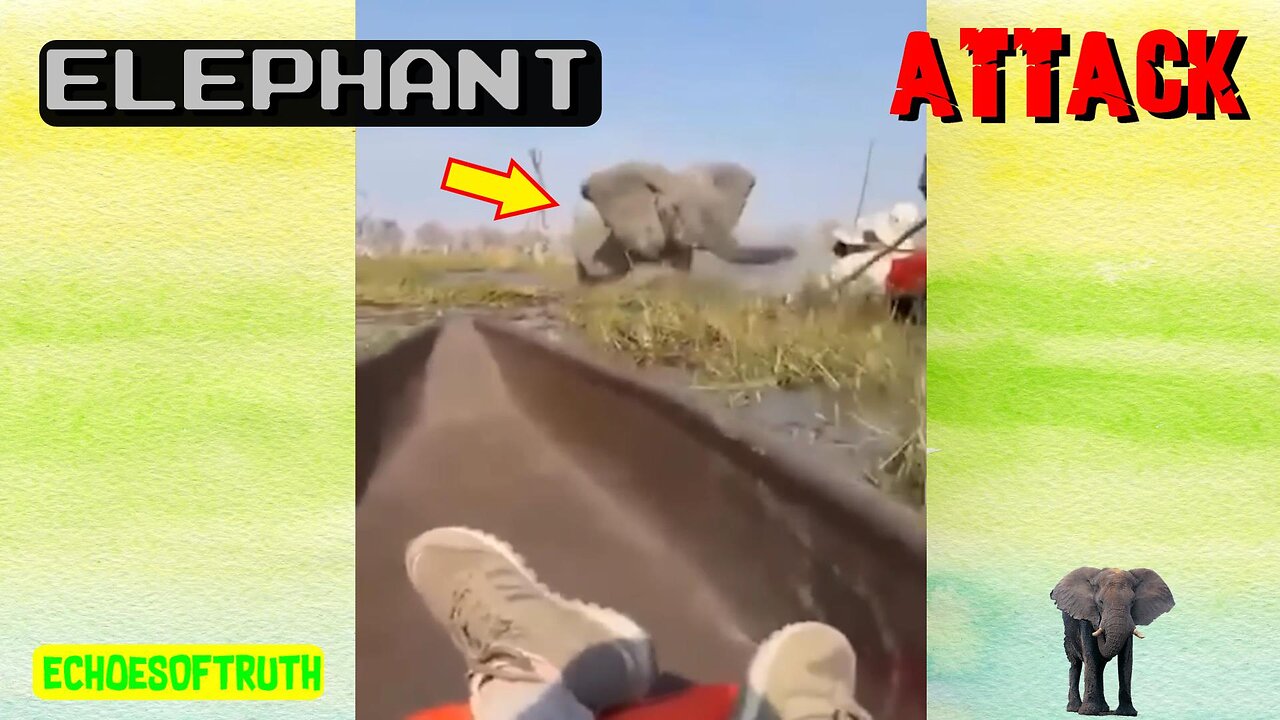 Elephant Attacks Frightened Tourist Trying To Escape Its Wild Fury - HEY, Hey, Haeeey, AAaaayyyy, Haeeyy, HEy, Hey, Heeayy, Hey, hayyy, HEY. HEEEAAYYY!