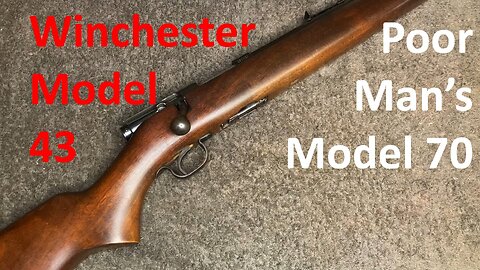 Winchester Model 43 - Overview & Conservation