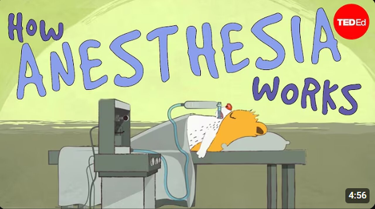 How does anesthesia work?