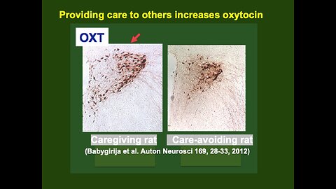Physiology of Love: Oxytocin (2)