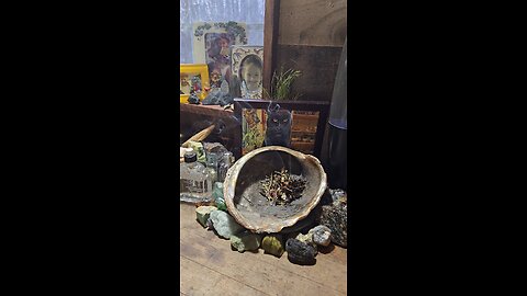 01/15/2026 Wonkyville....