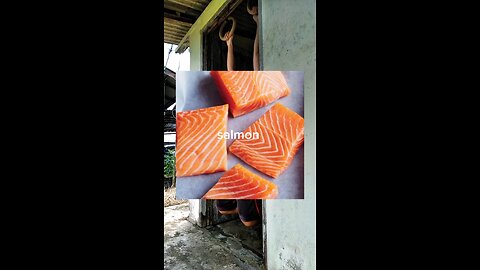 Best Fat Source? Salmon or Peanut Butter 🤔