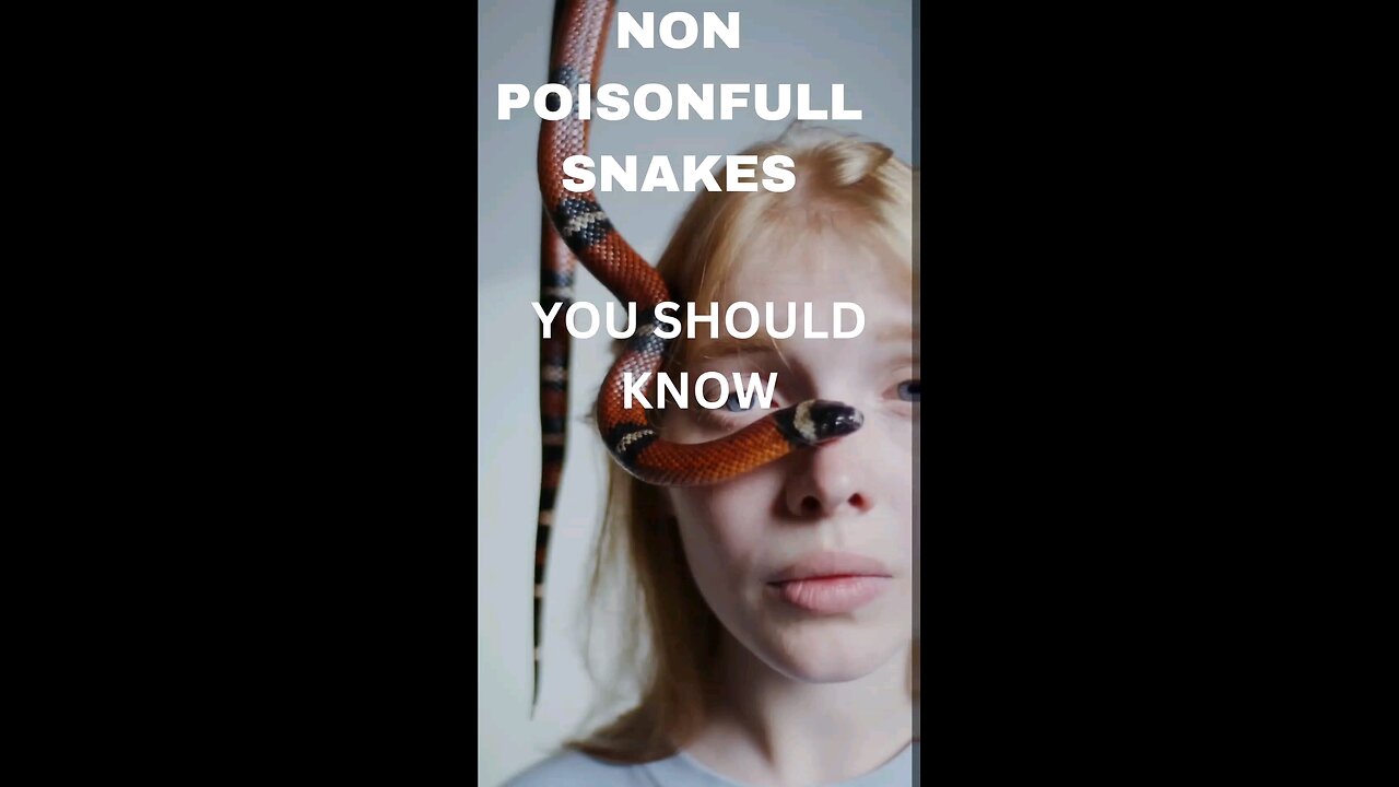 5 Non poisonous Snakes