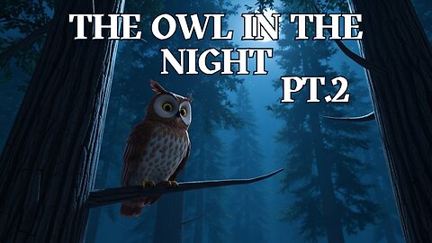 The Owl in the Night Pt 2 - Fun Kids Sing-A-Long