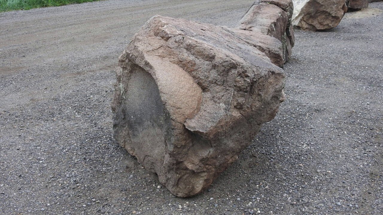 The original forest on flat earth part 7, fruit bearing tree