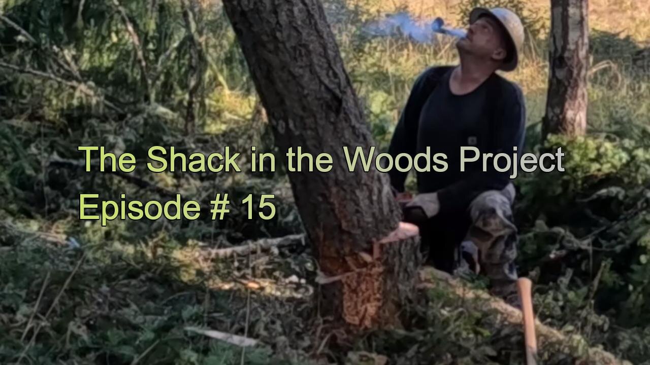 15 A Few More Trees to Cut, Yard & Mill for the Shack in the Woods Project
