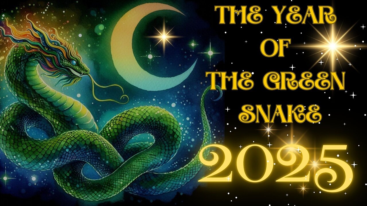 The Year of the Snake 2025 - an anatomical allegory.