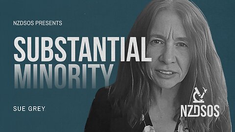 Sue Grey: The Legal Battles New Zealand Didn’t See