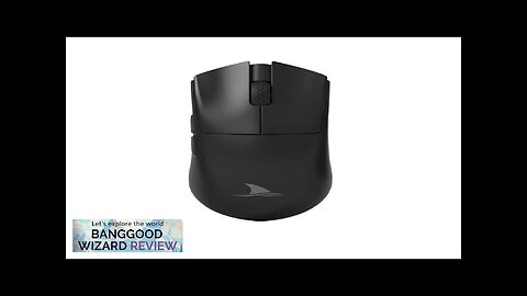 Darmoshark M3S Wireless Tri-mode Mouse 400-800-1600-3200-4800DPI TTC60M Gold Micro Motion Review