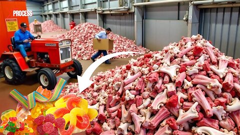 How GELATIN is Made? How Pig Skins Become Gelatin: From Waste to Candy!