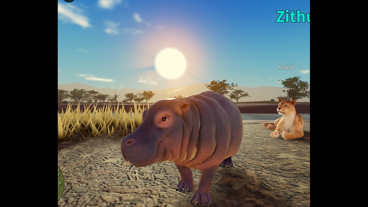 playing as the hippo savannah life