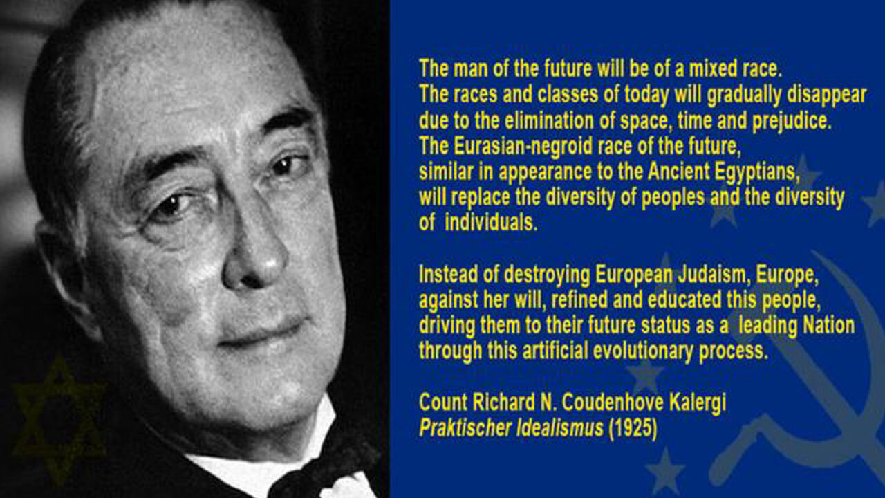 jew kalergi plan you fool