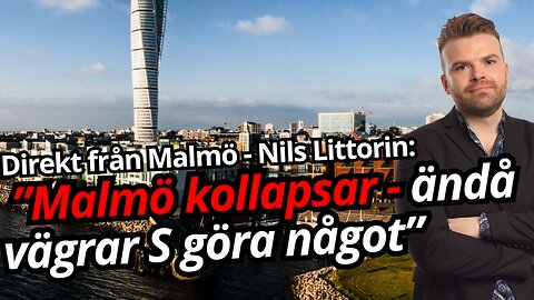 Malmö måste ha återvandring - annars går allt under - Nils Littorin