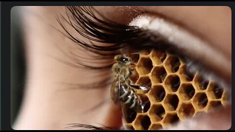 Wake up a friend with this video - Real is fake and fake is real. Creation of the hive mind.