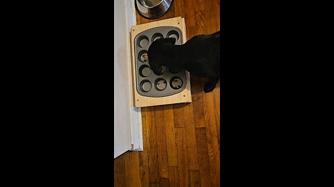 The quibble over the kibble.