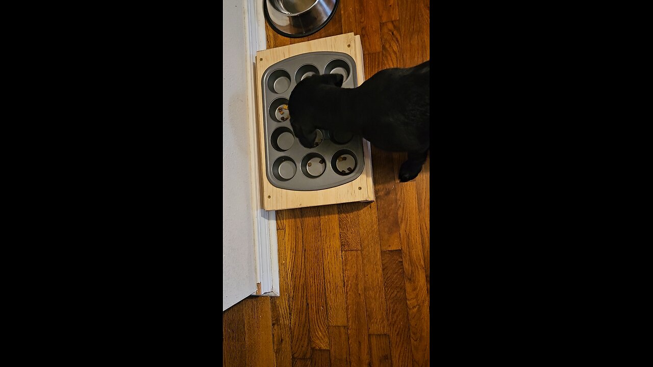 The quibble over the kibble.