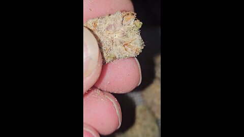 4C Labs Craft DZI T32 Dante'z Inferno AzztecMedia Reviews #medbud.wiki #uk #pain #mentalhealth 💯👊